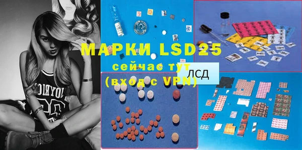 mdpv Богородицк